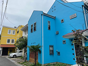 Blue Y House since 2021 “Blue Y House”Awesome14