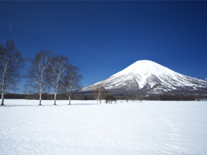TONY ロッジ アンド リゾート ニセコ Dicover NISEKO3